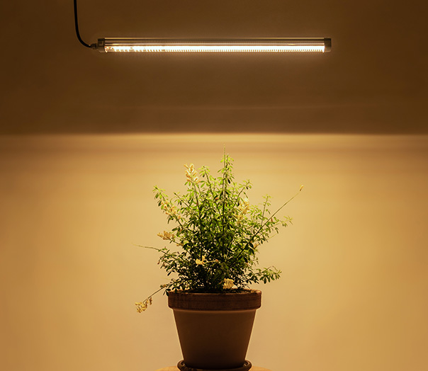 pro_led01