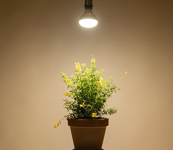 pro_led02